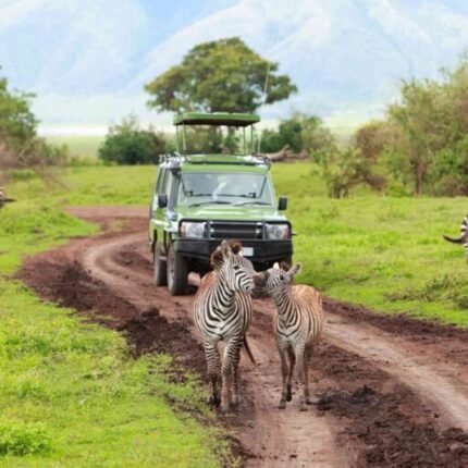 Tanzania Tour Package