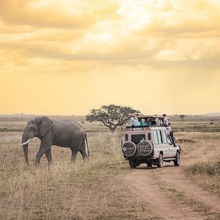 Adventurous Tanzania