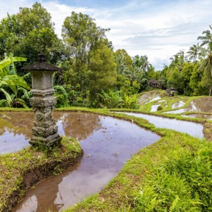 bali